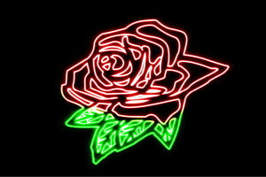 lI@KN2@o@΂@ԁ@͂ȁ@ԁ@CXg@lICg@d@LED@Cg@TC@neon@Ŕ@C~l[V@CeA@X܁@lITC@AJG݁@