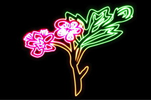 lI@34@ӂ[@t[@͂ȁ@ni@FLOWER@ԁ@lICg@d@LED@Cg@TC@neon@Ŕ@C~l[V@CeA@X܁@lITC@AJG
