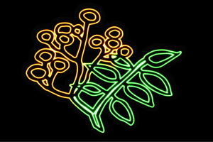 lI@35@ӂ[@t[@͂ȁ@ni@FLOWER@ԁ@lICg@d@LED@Cg@TC@neon@Ŕ@C~l[V@CeA@X܁@lITC@AJG