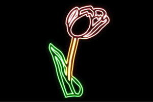 lI@38@`[bv@ӂ[@t[@͂ȁ@ni@FLOWER@ԁ@lICg@d@LED@Cg@TC@neon@Ŕ@C~l[V@CeA@X܁@lITC