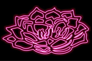 lI@39@ӂ[@t[@͂ȁ@ni@FLOWER@ԁ@lICg@d@LED@Cg@TC@neon@Ŕ@C~l[V@CeA@X܁@lITC@AJG