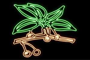 lI@[t11@[Ӂ@t@tρ@A@؁@傭Ԃ@lICg@d@LED@Cg@TC@neon@Ŕ@C~l[V@CeA@X܁@lITC@AJ