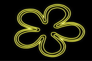 lI@t[7@ӂ[@ԁ@͂ȁ@ni@FLOWER@ԁ@lICg@d@LED@Cg@TC@neon@Ŕ@C~l[V@CeA@X܁@lITC@AJG