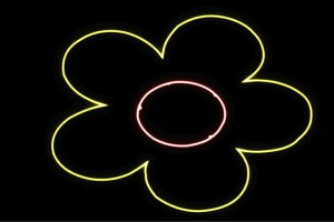 lI@t[8@ӂ[@ԁ@͂ȁ@ni@FLOWER@ԁ@lICg@d@LED@Cg@TC@neon@Ŕ@C~l[V@CeA@X܁@lITC@AJG