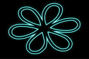 lI@t[12@ӂ[@ԁ@͂ȁ@ni@FLOWER@ԁ@lICg@d@LED@Cg@TC@neon@Ŕ@C~l[V@CeA@X܁@lITC@AJG