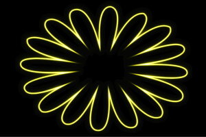 lI@t[17@ӂ[@ԁ@͂ȁ@ni@FLOWER@ԁ@lICg@d@LED@Cg@TC@neon@Ŕ@C~l[V@CeA@X܁@lITC@AJG