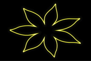 lI@t[22@ӂ[@ԁ@͂ȁ@ni@FLOWER@ԁ@lICg@d@LED@Cg@TC@neon@Ŕ@C~l[V@CeA@X܁@lITC@AJG