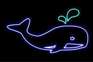 lI@NW2@@~@whale@zG[@C@@Aj}@lICg@d@LED@Cg@TC@neon@Ŕ@C~l[V@CeA@X܁@lITC@A