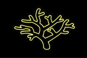 lI@TS3@TSʁ@X@Xʁ@ā@T}[@C@@Aj}@lICg@d@LED@Cg@TC@neon@Ŕ@C~l[V@CeA@X܁@lITC