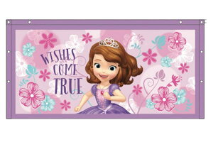 プリンセス ソフィア アニメの人気商品 通販 価格比較 価格 Com