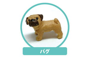 yzyREAL DOGzEbhXgbvypOzyhbOzyCkzyzyʁzyAj}zyzygсzyX}[gtHzyX}tHzyANZT[zyXgbvz