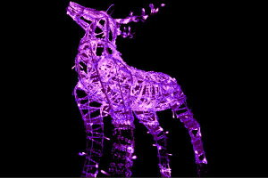 yC~l[Vz3DgiJCyp[vzyzygiJCzy\[[^Cvzy\[[zy\[zyzyAj}zyCgzyLEDzy3DzyzyzyA[gzyP