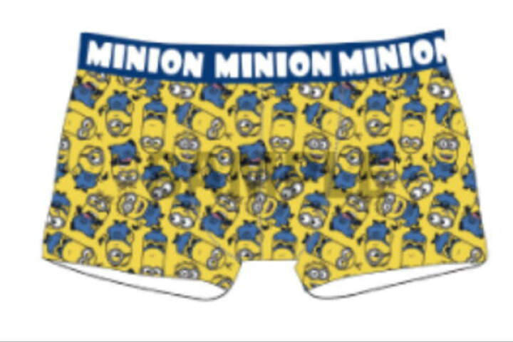 楽天市場 送料無料 ミニオンズ ボクサーブリーフパンツ L 集合 ミニオン ユニバーサル ユニバーサルスタジオ ユニバ 映画 アニメ ボクサーパンツ ボクサー パンツ ぱんつ ブリーフ 下着 メンズ 男性 雑貨