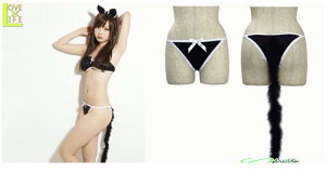 ねこ ガールブラック ねこみみ 猫 甘え上手でセクシーなねこに変身♪☆AOIコレクションのコスプレシリーズ♪コスプレ 衣装 コスチューム    大