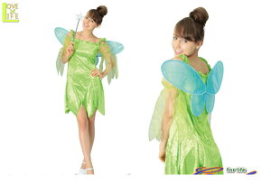 fB@80R2536@eBJ[x (s[^[Ep) @p[eB@fBYj[fs[^[p@eBJ[x@AOIRNṼRXvRXv@ߑ@RX`[@@ @