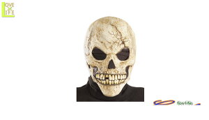 ObY@34R56@XJ }XN}XN@p[eB@nEB@XJ̃ttFCX}XNz[}XNAOIRNVp[eB[ObY@p[eB@ObY@@@ @