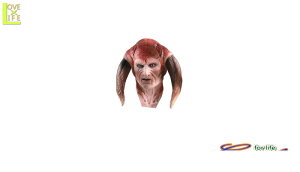 ObY@41R04@TV[EeB@}XN(X^[EH[Y)Ԃ́@STARWARS@@p[eB@{iIȃebNX}XNAOIRNṼRXvV[YRXv@ߑ@RX`