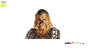 ObY@41R95@`[obJ }XN (X^[EH[Y)Ԃ́@STARWARS@@p[eB@tH[XĂAOIRNṼRXvV[YRXv@ߑ@RX`