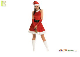 セクシー　サンタクロース　レディサンタ　仮装　パーティ　クリスマス　クリスマスが100倍楽しくなっちゃいます♪☆AOIコレクションのコスプレシリーズ♪コスプレ　衣装　コスチューム　　 　大