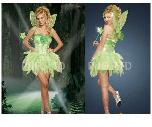 fB@94P52@DREAMGIRL@tFA[ Fairyd@s[^[p@eBJ[x@h[K[@AJ@uh@Zup̃h[K[RNV AOIRNṼRXR