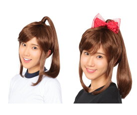 グッズ　ナチュラルポニーテールポニーテール　アイドル　アニメ　カツラ　かつら　ヘアー　ウィッグ　パーティ　ハロウィン　コスプレ　コスチューム　衣装　仮装　かわいい