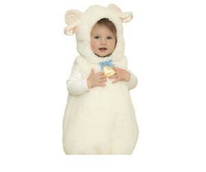 xCr[@}V}V[vV[v@r@qcW@Ђ@݁@@Baby@xr[@nEB@RXv@RX`[@ߑ@@킢