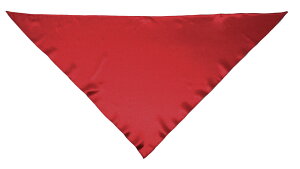 TE-10AW Z[[XJ[t ԁ@ߑ@nEB@@RXv@RXvC[@Aj@킢@RZvg@kawaii@@@@Japan@Ch@Chi@RJtF@