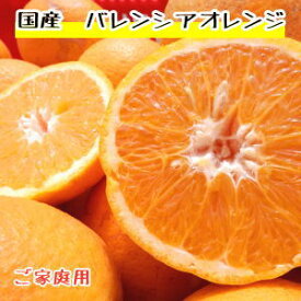 ご家庭用　国産　バレンシアオレンジ約5キロ【7月上中旬頃より収穫予定 】【和歌山県産】【国産】【わけあり】【ワケアリ】【訳あり】【送料込】【送料無料】【お買い得】【ギフト】【お中元】【みかん】【ミカン】【おれんじ】【国産】【5kg】【5キロ】