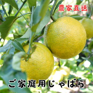 ΂@1kg@@ƒpIʁ@󂠂11n\ya̎RYzy킯zyPAzyzyzyzyWozyYz