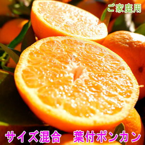 tt|J@10Li9.5Lj@ƒp@TCYy1[{n\zya̎RYzyzyzy킯zy󂠂zyVNzyzy