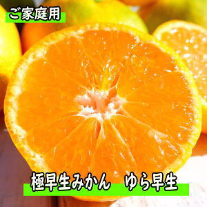 ƒp@瑁@4.5kg@TCY@ɑi킹j݂y10{n\zya̎RYzy킯zy󂠂zyzyzyzyMtgzy