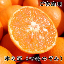 津之望（つののぞみ）3キロ　ご家庭用　サイズ混合　【1月下旬頃より収穫予定】【新品種】【和歌山県産】【送料込】【送料無料】【わけあり】【訳あり】【新鮮】【お買い得】【国産】【みかん】【3kg】【津の望み】【お試し】