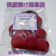 しそ漬け梅　200g　ご家庭用　B級品　紀州南高梅　お試し少量【送料無料】【訳あり】【無添加】【無着色…