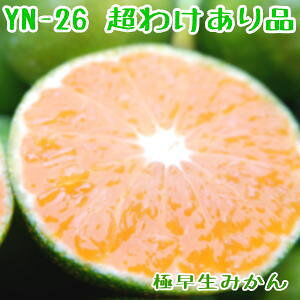 킯@ʁ@v`TCY@YN26(CGk26j4.5Li5kgjƒp ɑi킹j݂@y9{n\zya̎RYzy݂zy~Jzy킯zy