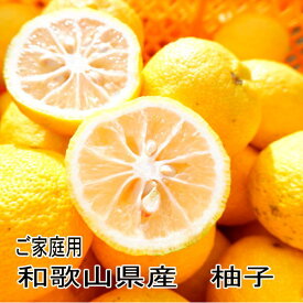 柚子　約1kg　お試し　ご家庭用無選別　訳あり≪11月より収穫予定≫【和歌山県産】【わけあり】【ワケアリ】【送料込】【送料無料】【お買い得】【ユズ】【ゆず】【国産】
