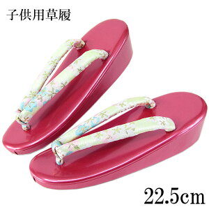 qp -108- ̎qp 22.5cm 傫TCY