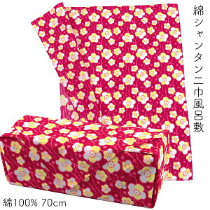 C~ 70cm  ~̉ }~ g/F ȃV^ 100% {
