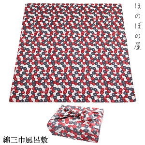C~ O 109cm ~ O[ lD 100%