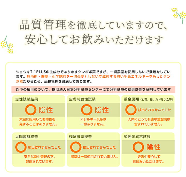 楽天市場 たんぽぽ茶 タンポポ茶 ショウキt 1プラス30包 たんぽぽ茶 ショウキt 1プラス 妊活 不妊 漢方 ショウキt 1 たんぽぽ茶 妊活 漢方の葵堂薬局