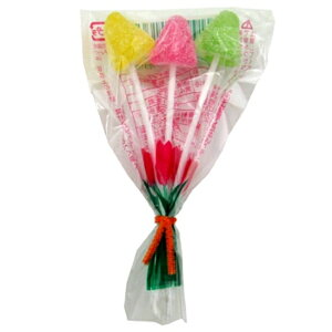 オランダキャンディ (3本セット×20入)【駄菓子 通販 おやつ 子供会 景品 お祭り くじ引き 縁日】