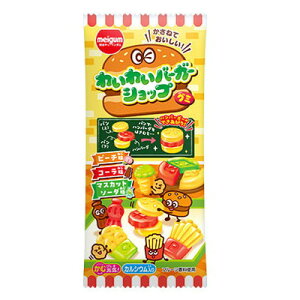 �킢�킢�o�[�K�[�V���b�v�O�~ 12���y�ʉَq �ʔ� ����� �q���� �i�i ���Ղ� �������� �����z