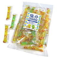 塩分チャージゼリー レモン＆ライチ 500g【駄菓子 ミナモト 通販 おやつ 子供会 景品 お祭り くじ引き 縁…