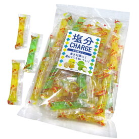 塩分チャージゼリー レモン＆ライチ 500g【駄菓子 ミナモト 通販 おやつ 子供会 景品 お祭り くじ引き 縁日】