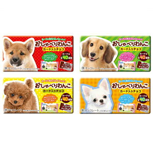 ׂ N``R[g 20yʉَq ʔ  q ii Ղ   o^Cz