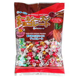 300gオールシーズンチョコレート【駄菓子 通販 おやつ 子供会 景品 お祭り くじ引き 縁日 バレンタイン】