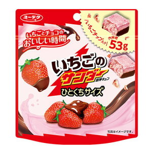 ̃T_[ЂƂTCY pE` 10yʉَq ʔ  q ii Ղ   o^Cz