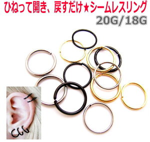 20G 18G {fBsAX   @sAX փbNX C[u T[WJXeX {fBs {fB[sAX sAX  T[WJXeX316L [ ubN Vo[ S[