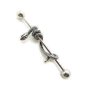 16G C_XgA q Ȃ Oo[x C_XsAX sAX  ւ Xl[N NX \ {fBsAX wbNX O sAX 16Q[W bp841