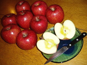 yzX񂲁uEMTӂvI3kg(10)@XY @EM͔|@X@񂲁@