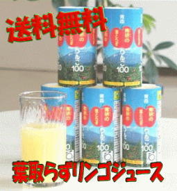 【 送料無料 】葉とらずりんごジュース　195g 30本 葉とらず りんごジュース 青研 紙パック　カート缶　送料込